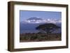 Mount Kilimanjaro-DLILLC-Framed Photographic Print