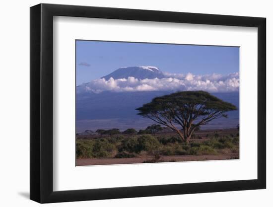 Mount Kilimanjaro-DLILLC-Framed Photographic Print