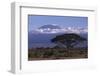 Mount Kilimanjaro-DLILLC-Framed Photographic Print