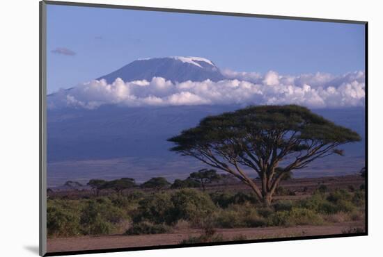 Mount Kilimanjaro-DLILLC-Mounted Photographic Print