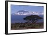 Mount Kilimanjaro-DLILLC-Framed Photographic Print