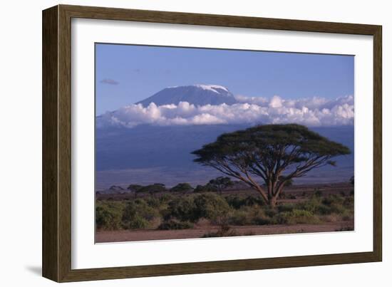 Mount Kilimanjaro-DLILLC-Framed Photographic Print