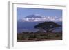 Mount Kilimanjaro-DLILLC-Framed Photographic Print