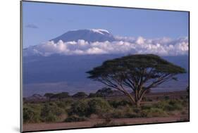 Mount Kilimanjaro-DLILLC-Mounted Photographic Print