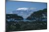 Mount Kilimanjaro-DLILLC-Mounted Photographic Print