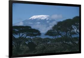 Mount Kilimanjaro-DLILLC-Framed Photographic Print