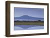 Mount Kilimanjaro-DLILLC-Framed Photographic Print