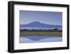 Mount Kilimanjaro-DLILLC-Framed Photographic Print