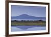 Mount Kilimanjaro-DLILLC-Framed Photographic Print