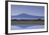 Mount Kilimanjaro-DLILLC-Framed Photographic Print