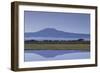 Mount Kilimanjaro-DLILLC-Framed Photographic Print