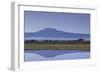 Mount Kilimanjaro-DLILLC-Framed Photographic Print