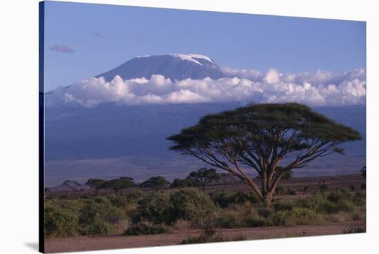 Mount Kilimanjaro-DLILLC-Stretched Canvas