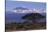 Mount Kilimanjaro-DLILLC-Stretched Canvas