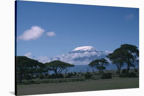 Mount Kilimanjaro-DLILLC-Stretched Canvas