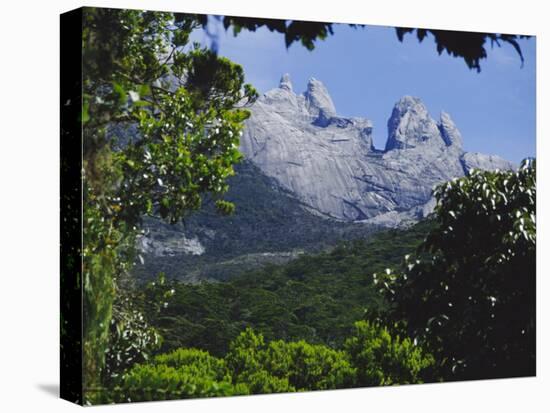 Mount Kinabalu, Sabah, Island of Borneo, Malaysia, Asia-David Poole-Stretched Canvas