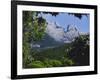 Mount Kinabalu, Sabah, Island of Borneo, Malaysia, Asia-David Poole-Framed Photographic Print