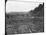 Mount Kronos and Temple of Hera, Olympia, Greece, Late 19th or Early 20th Century-null-Mounted Photographic Print
