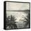 Mount Lavinia Bay, Ceylon, February 1912-English Photographer-Framed Stretched Canvas