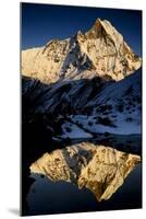 Mount Machapuchare(6997M) At Sunset. Annapurna Himal, Annapurna Sanctuary, Central Nepal-Enrique Lopez-Tapia-Mounted Photographic Print