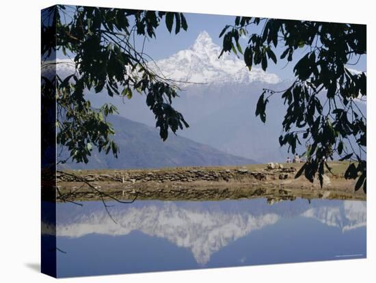 Mount Machapuchare (Machhapuchhare) Reflected in Phewa Lake, Himalayas, Nepal, Asia-N A Callow-Stretched Canvas