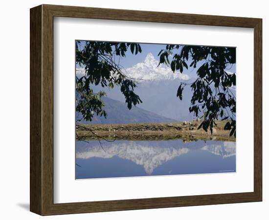 Mount Machapuchare (Machhapuchhare) Reflected in Phewa Lake, Himalayas, Nepal, Asia-N A Callow-Framed Photographic Print