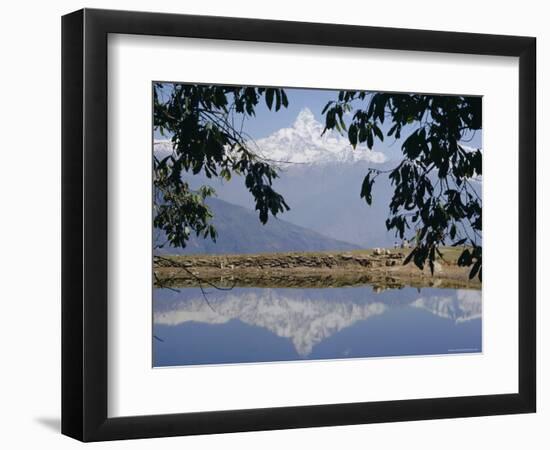 Mount Machapuchare (Machhapuchhare) Reflected in Phewa Lake, Himalayas, Nepal, Asia-N A Callow-Framed Photographic Print