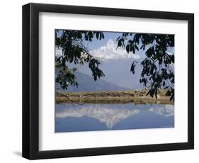 Mount Machapuchare (Machhapuchhare) Reflected in Phewa Lake, Himalayas, Nepal, Asia-N A Callow-Framed Photographic Print