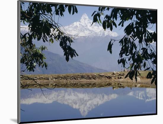 Mount Machapuchare (Machhapuchhare) Reflected in Phewa Lake, Himalayas, Nepal, Asia-N A Callow-Mounted Photographic Print