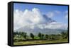 Mount Mayon Volcano, Legazpi, Southern Luzon, Philippines-Michael Runkel-Framed Stretched Canvas