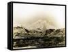 Mount McKinley, 20,300 Ft., 1924-Asahel Curtis-Framed Stretched Canvas