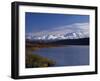 Mount Mckinley, 2032Ft, from Reflection Lake, Denali National Park-John Warburton-lee-Framed Photographic Print