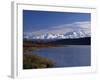 Mount Mckinley, 2032Ft, from Reflection Lake, Denali National Park-John Warburton-lee-Framed Photographic Print