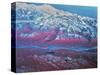 Mount Mckinley, Alaska-Stocktrek Images-Stretched Canvas