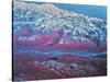 Mount Mckinley, Alaska-Stocktrek Images-Stretched Canvas