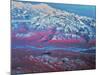 Mount Mckinley, Alaska-Stocktrek Images-Mounted Photographic Print