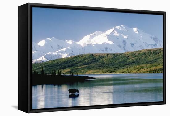 Mount Mckinley and Feeding Moose-Darrell Gulin-Framed Stretched Canvas