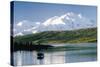 Mount Mckinley and Feeding Moose-Darrell Gulin-Stretched Canvas