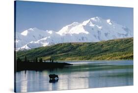 Mount Mckinley and Feeding Moose-Darrell Gulin-Stretched Canvas