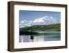 Mount Mckinley and Feeding Moose-Darrell Gulin-Framed Photographic Print