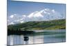 Mount Mckinley and Feeding Moose-Darrell Gulin-Mounted Photographic Print