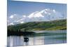 Mount Mckinley and Feeding Moose-Darrell Gulin-Mounted Photographic Print