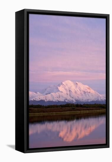 Mount Mckinley at Sunset in Denali National Park-Paul Souders-Framed Stretched Canvas