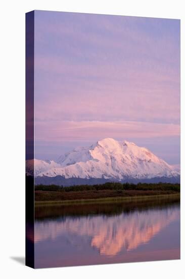 Mount Mckinley at Sunset in Denali National Park-Paul Souders-Stretched Canvas