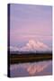 Mount Mckinley at Sunset in Denali National Park-Paul Souders-Stretched Canvas