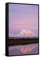 Mount Mckinley at Sunset in Denali National Park-Paul Souders-Framed Stretched Canvas