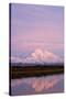 Mount Mckinley at Sunset in Denali National Park-Paul Souders-Stretched Canvas