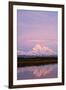 Mount Mckinley at Sunset in Denali National Park-Paul Souders-Framed Premium Photographic Print