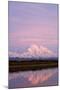 Mount Mckinley at Sunset in Denali National Park-Paul Souders-Mounted Premium Photographic Print