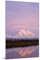 Mount Mckinley at Sunset in Denali National Park-Paul Souders-Mounted Premium Photographic Print